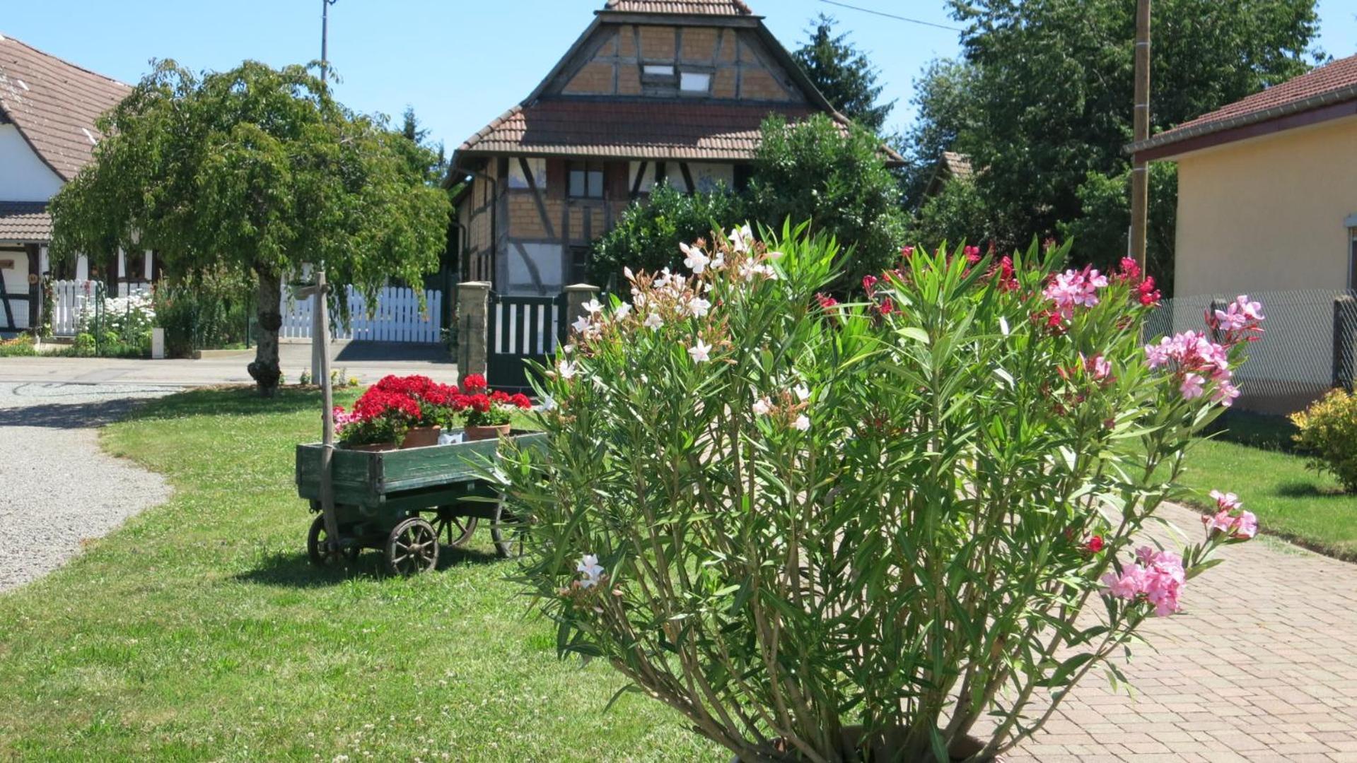 Les Herissons Casa de Férias Guevenatten